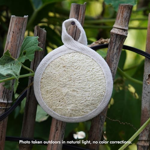 12 Pack Natural Loofah Face Scrubber & Exfoliator, Organic Exfoliating Facial Scrub Pads and Sponges for Women & Men