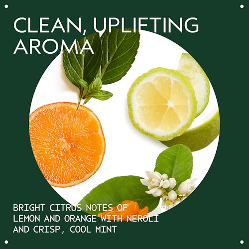 Aveda Scalp Solutions Replenishing Conditioner | Hydrates Hair & Scalp | for All Hair Types | Babassu & Moringa Oil | 98% Naturally Derived*, 6.7 Fl Oz