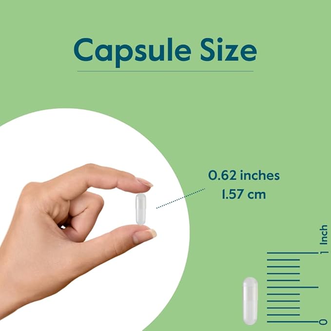 BESTVITE Zinc Chelate 50mg (480 Vegetarian Capsules) (240 x 2) - No Stearates - Vegan - Non GMO - Gluten Free