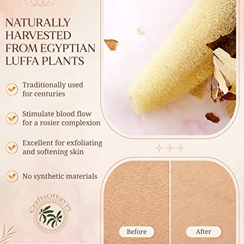 Egyptian Natural Loofah Pad Exfoliating Body Scrubber - Vegan Double Sided Luffa Sponges Deep Clean Your Body, Face & Back While an Exfoliating Washcloth Side Removes Oils - 6.9 x 4.7 Inches, 2 Pack