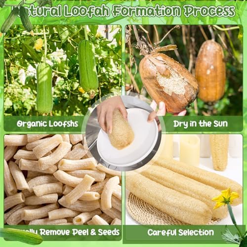 15.7 inches Natural Loofah Sponges Pack of 6, for Kitchen Dishes Body Scrubber