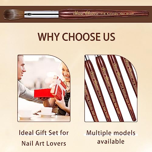 Acrylic Nail Art Brush - Size 16, 100% Pure Kolinsky Hair Oval Nail Brush for Professional Acrylic Application, DIY Home Salon