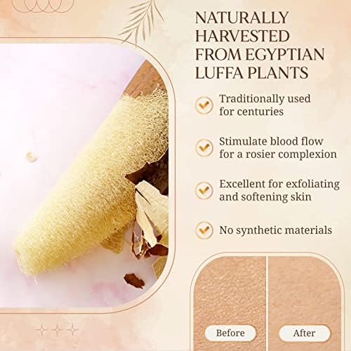 All Natural Loofah Sponge, Pack of 3 Real Egyptian Bath & Shower Exfoliating Loofa Scrubber Sponges for Face, Back & Body, Eco Friendly, No Toxic Chemicals, 6" x 6" by Crafts of Egypt