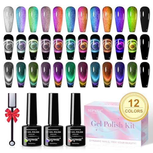 Cat Eye Gel Nail Polish Set - 12 Colors 9D Magnetic Nail Polish Gel Galaxy Cateye Nail Gel Polish with 1 Black Gel and Magnetic Lamp Cure Required Home Manicure DIY Nail Art