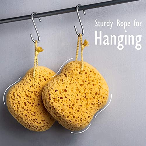 myHomeBody Bath Sponge, Foam Loofah, Body Scrubber for Bathing, Exfoliating Shower Pouf for Shower – Large Size, Lots of Lather, Curvy, 3 Pack