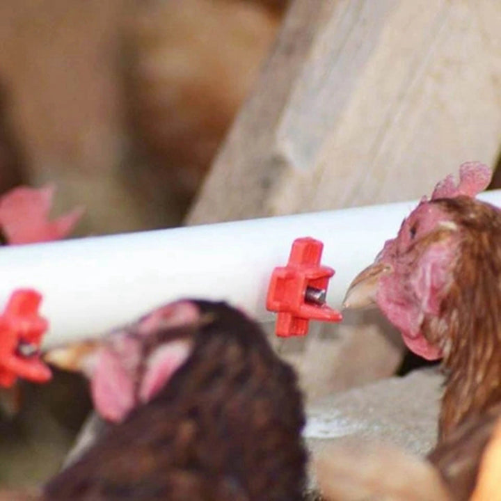 24 Pack Horizontal Side Mount Automatic Poultry Nipples Clean Drinker Waterer for Chicken or Quail