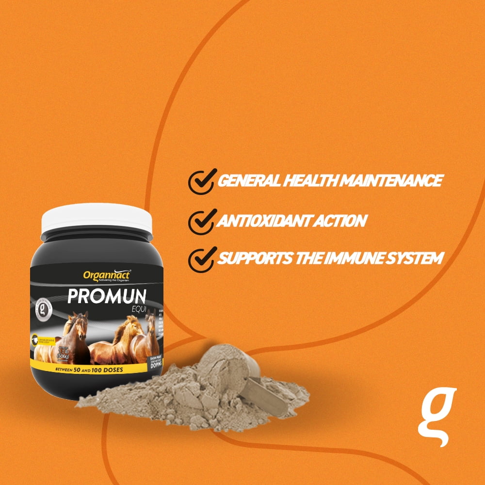 Organnact PROMUM EQUI to improve the natural immune system of horses 1.1 lb (500g)