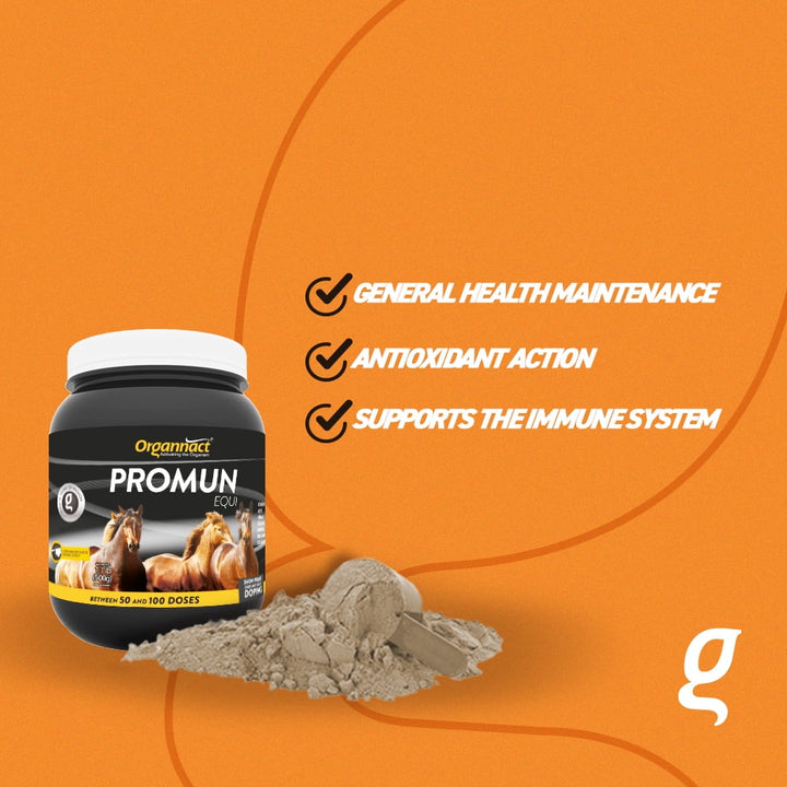 Organnact PROMUM EQUI to improve the natural immune system of horses 1.1 lb (500g)