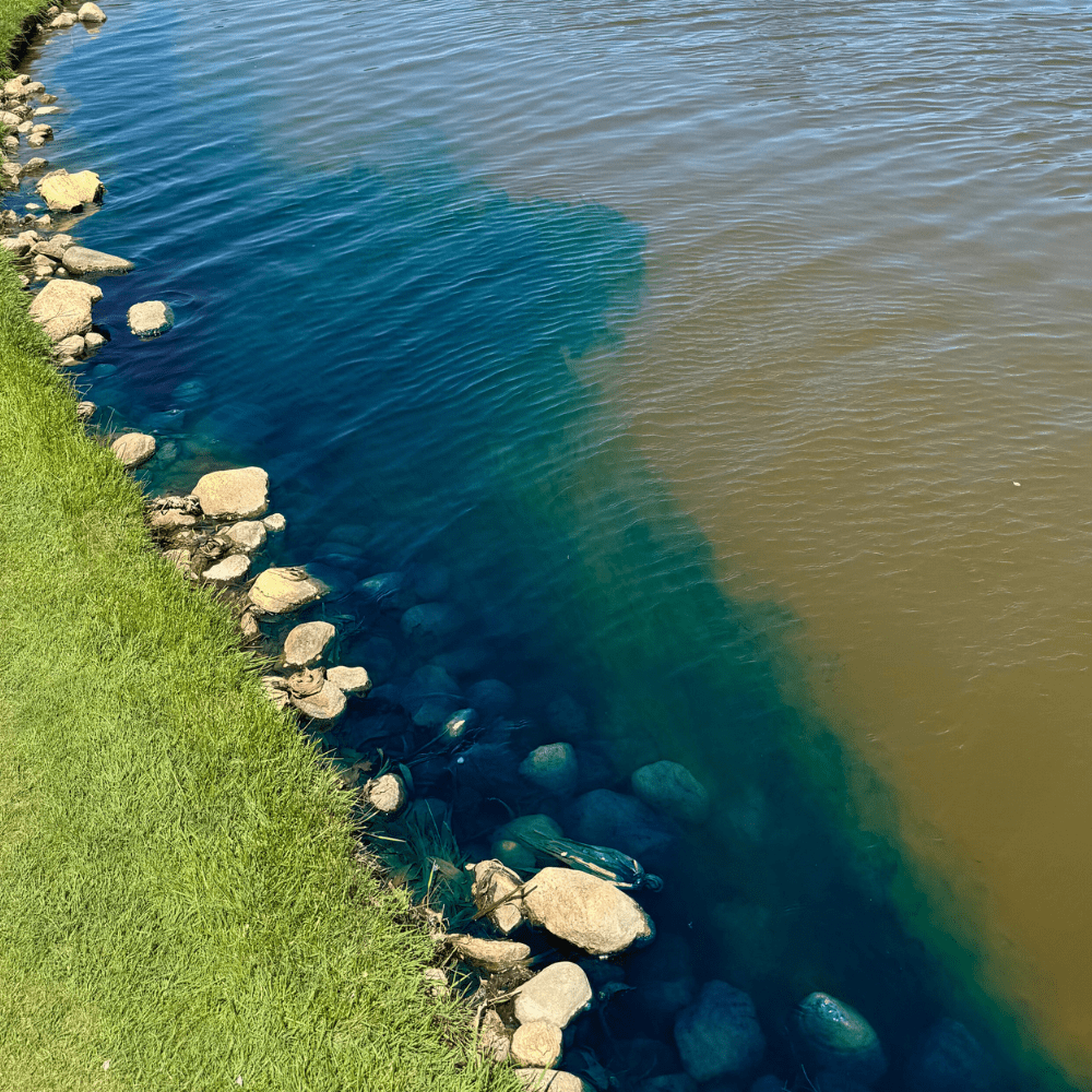 Healthy Ponds Blue Pond Water Dye – Pourable Granules, 17.6 oz Treats Up to 1.7 Million Gallons