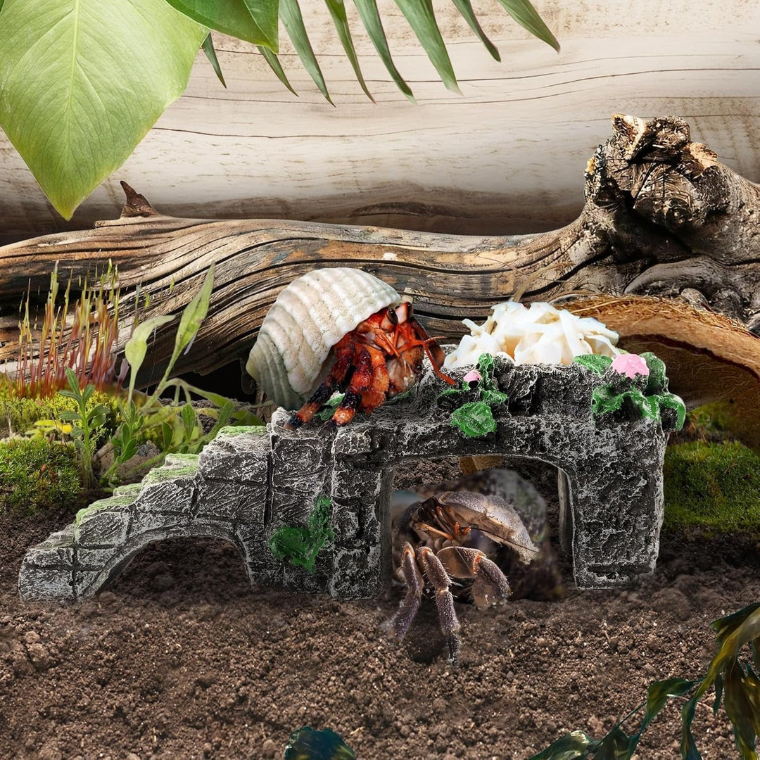 Hermit Crab Climbing Toys with Food Dish,Hermit Crab Water Bowl with Climbing Ramp,Resin Hermit Crabs Hideout,Hermit Crabs Tank Accessories Decor (Grey, 5.11 x2.16 x1.77in)