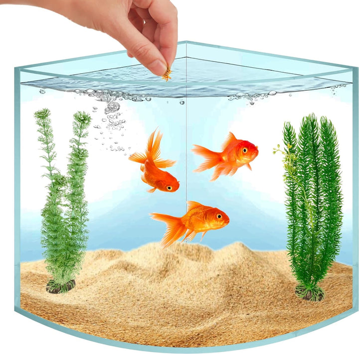 Skywin Corner Aquarium Small Fish Tank - 1.71 Gallon Acrylic Saltwater Fish Tank Aquarium for Real Life Fish, Aquariums & Fish Bowls