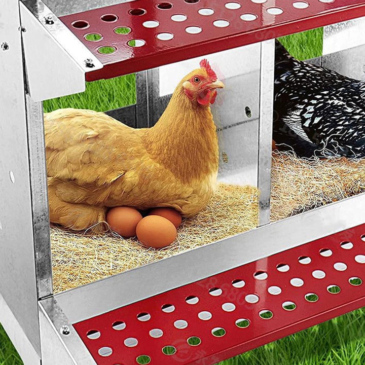 Chicken Coop, 3 Compartment Large Space Chicken Nesting Box Galvanized Iron Plate Easy To Assemble  For Egg Collection