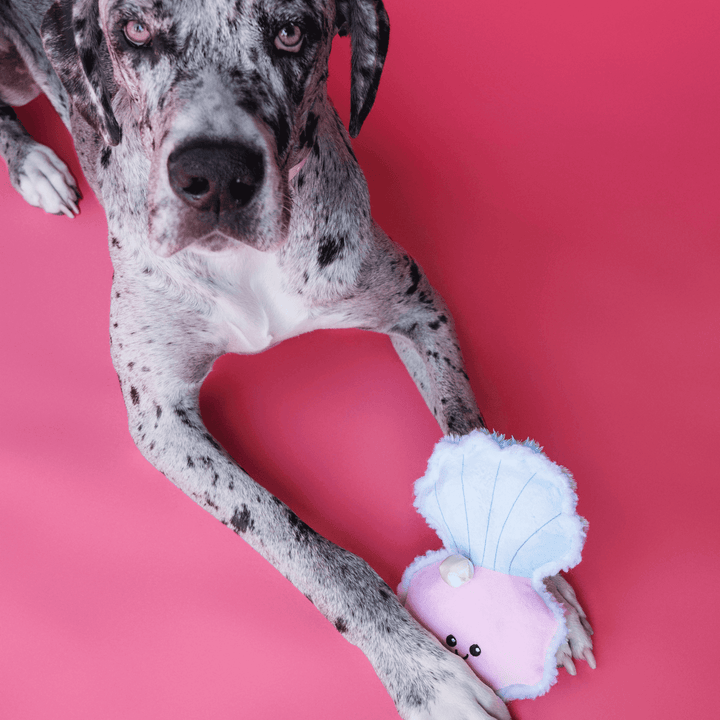 Bundle x Joy Oyster with Pearl Plush for Dogs with Squeaker, Crinkle & Softness for Added Joy