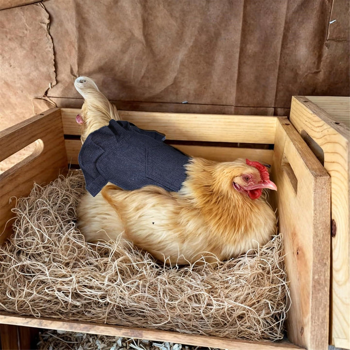UOSIA 3PCS Chicken Overalls Saddles Hen Jacket Apron with Elastic Strap Poultry,one size,Blue