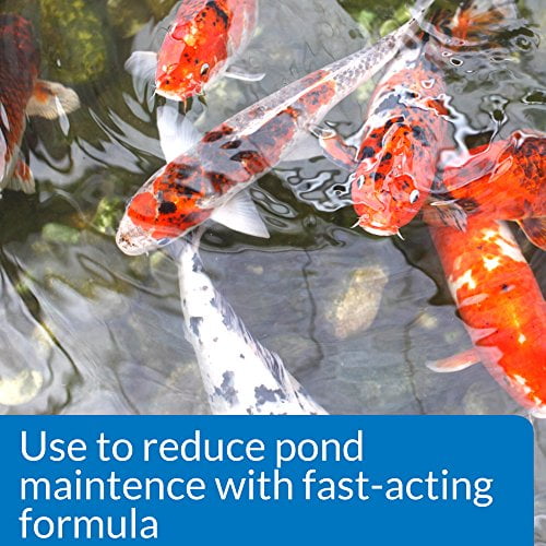 API POND SIMPLY CLEAR Pond Water Clarifier 1-Gallon Bottle