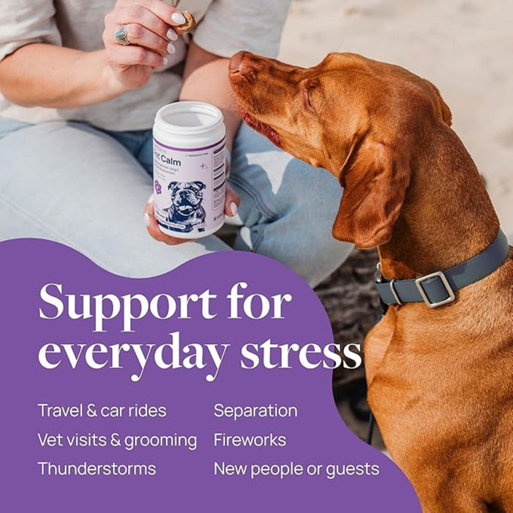 Veterinary Formula Pet Calm Supplement for Dogs, Smart Vitality Calming Without Sleepiness, 60 Chews