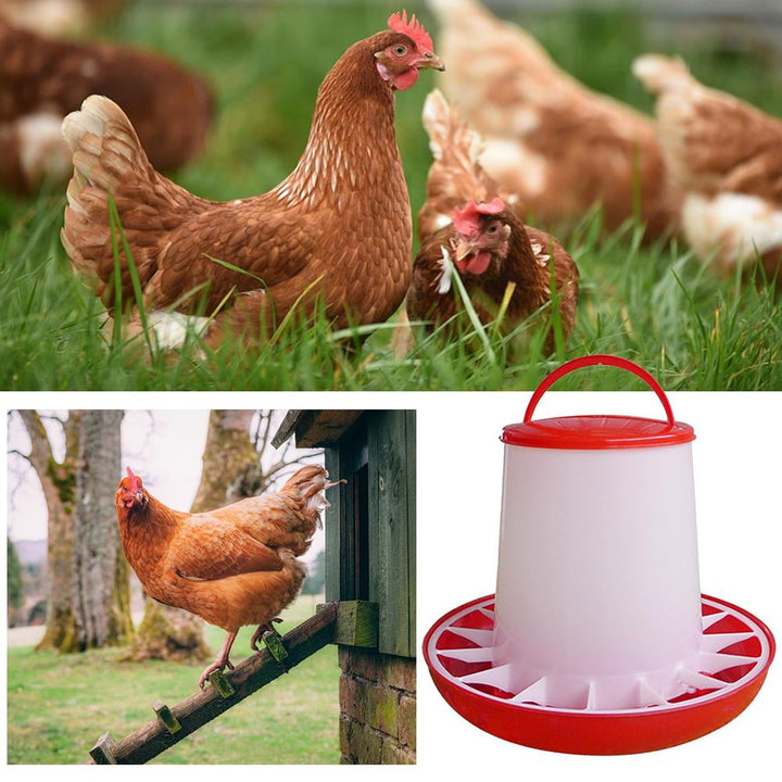 Chick Feeder, Waterer Hanging Poultry Feeder Kit Bird Small Poultry Feeder Flip Top Bird Small Poultry Feeder for Pigeon Chicke Feeder Small Poultry Feeder Drinker Duckling Quail Feeder