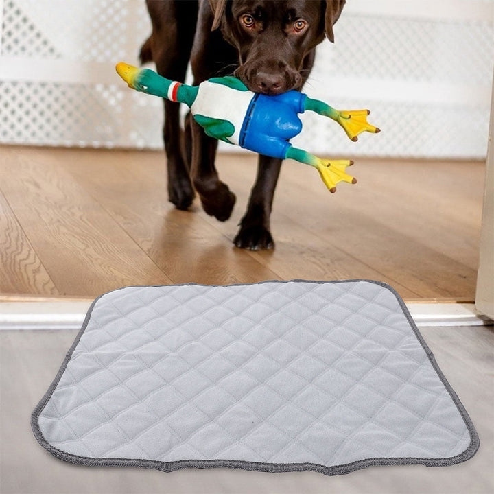 2 Pcs Hamster Cage Mat Small Pet Liners Fleece Bedding for Guinea Pigs Dog Urine Pad