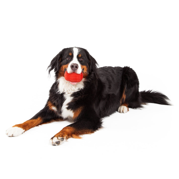 Play by Playology Dog Toys | Interactive Dog Toy | Pinecone, Beef Scented Chew Toy, Large