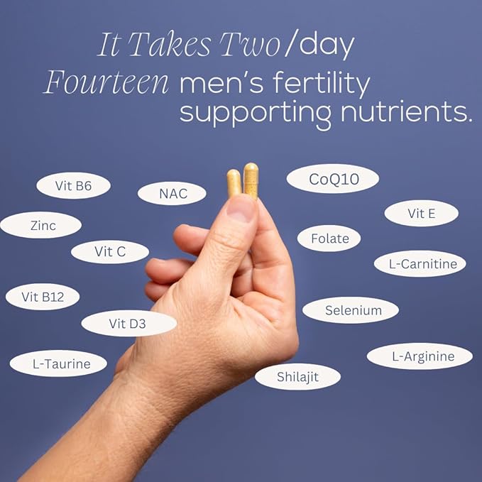 Beli Men Prenatal Multivitamin Preconception Fertility Support, Enhanced Sperm Health, Sperm Count & Motility, Testosterone, 60 Capsules with Vitamin E, B6, B12, Zinc, Folate & CoQ10, 30-Day Supply