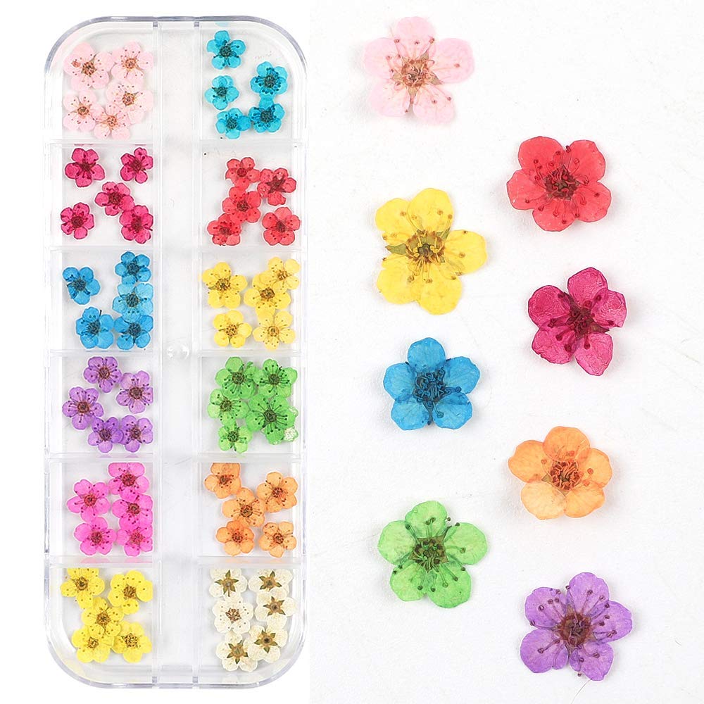 Valuu 3D Nail Dried Flowers Sticker