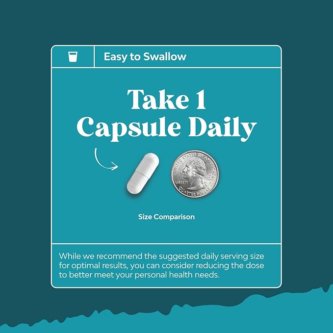 Vitamin B3 Niacinamide 500mg Capsules - Mitochondrial Energy and Potent Skin Supplement - AKA Vitamin B3 Niacin 500mg Flush Free and Nicotinamide 500mg - Flush Free Niacin Supplement - 240 Count