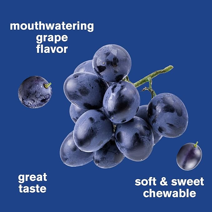 Iron Gummies with Vitamin C -Anemia and Cellular Energy Support, Promotes Red Blood Cell Formation - Energy & Immune System Support -Natural Grape Flavor-60 Gummies