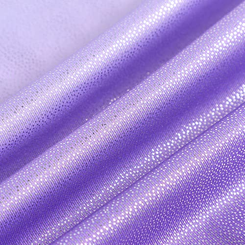 DAXIANG Purple Leotard for Girls 3t Dance Leotard Ballet Tutu Toddler Gymnastics Leotard