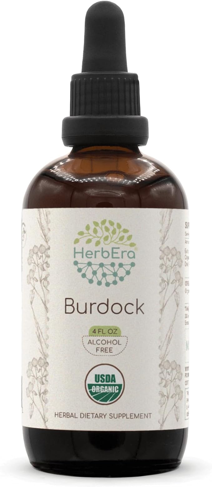 Burdock B120 Alcohol-Free Herbal Extract Tincture, Super-Concentrated Made with USDA Organic (Arctium Lappa) 4 fl oz