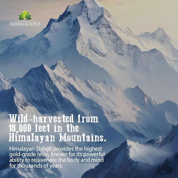 Shilajit for Men – 8-in-1 Adaptogenic Supplement with Ashwagandha, Cordyceps, Ginseng, Rhodiola, Turmeric, Chaga & Ginger – Natural Energy, Stress Relief & Immune Support – 120 Vegan Capsules