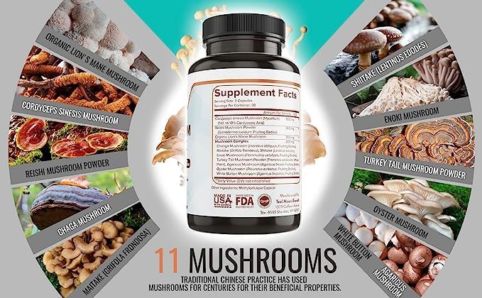 EARTH'S BIO Mushroom Supplement Complex 2,600 mg per Serving, 90 Caps, with Organic Lion's Mane Mushroom, Turkey Tail, Enoki Agaricus, White Button & Oyster Mushroom - Memory & Immune Support