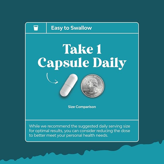 Vitamin B3 Niacinamide 500mg Capsules - Mitochondrial Energy and Potent Skin Supplement - Vitamin B3 Niacin 500mg Flush Free and Nicotinamide 500mg - Flush Free Niacin Supplement - 60 Count