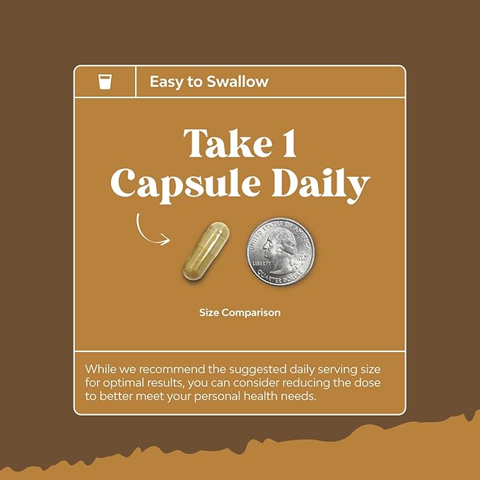 Advanced Lion's Mane Mushroom Supplement - Lions Mane Supplement Capsules with Reishi, Chaga , Maitake & Shiitake for Brain Health, Memory Support & Focus - Nootropic for Mental Clarity - 120 Caps