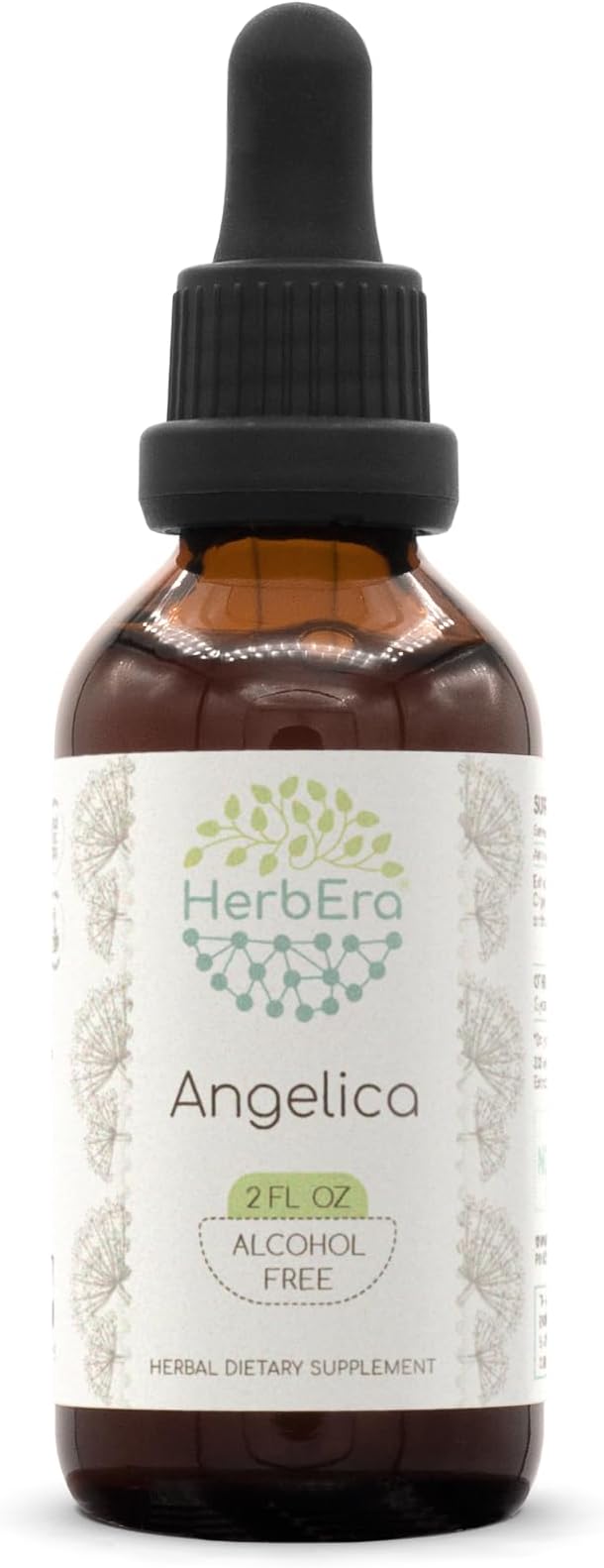 Angelica B60 Alcohol-Free Herbal Extract Tincture, Concentrated Liquid Drops Natural Angelica (Angelica archangelica) Dried Root (2 fl oz)