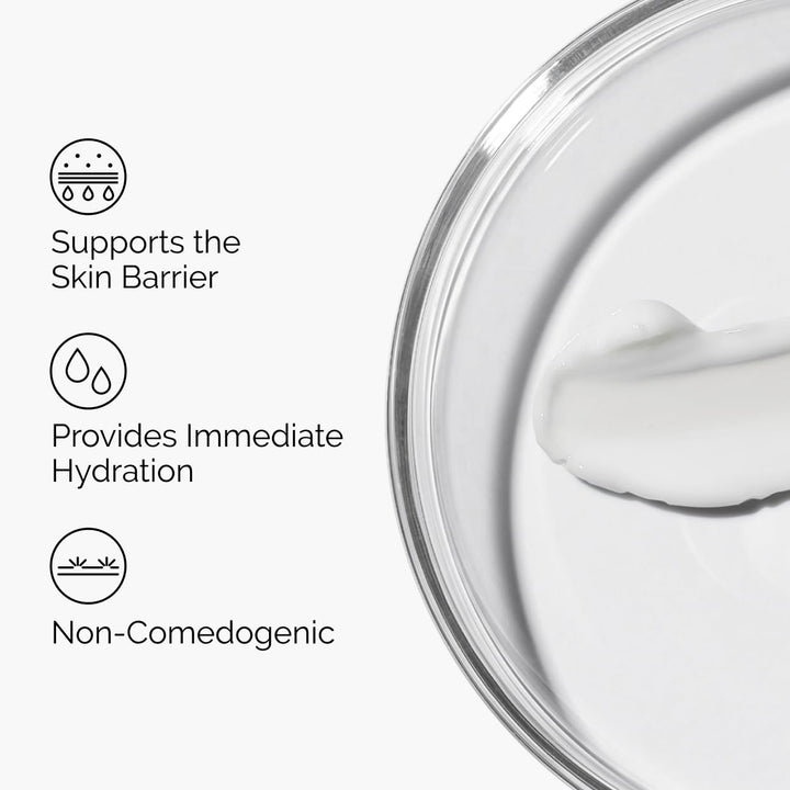 The Ordinary Natural Moisturizing Factors + Hyaluronic Acid, Lightweight Hydrator for Skin Barrier Support & Hydration, 1 Fl Oz