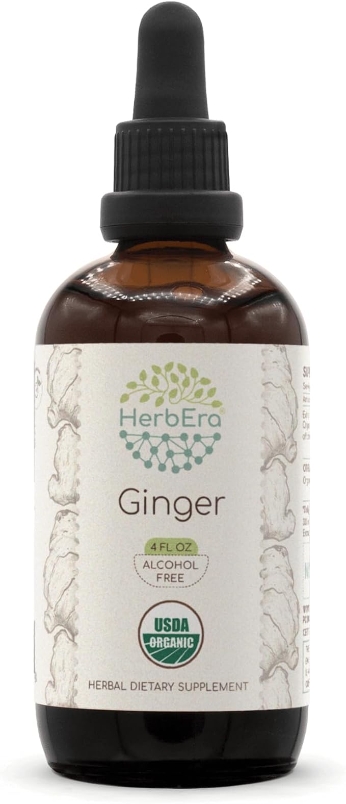 Ginger B120 USDA Organic Tincture | Alcohol-Free Extract, High-Potency Herbal Drops | Certified Organic Ginger (Zingiber officinale) Dried Root (4 oz)
