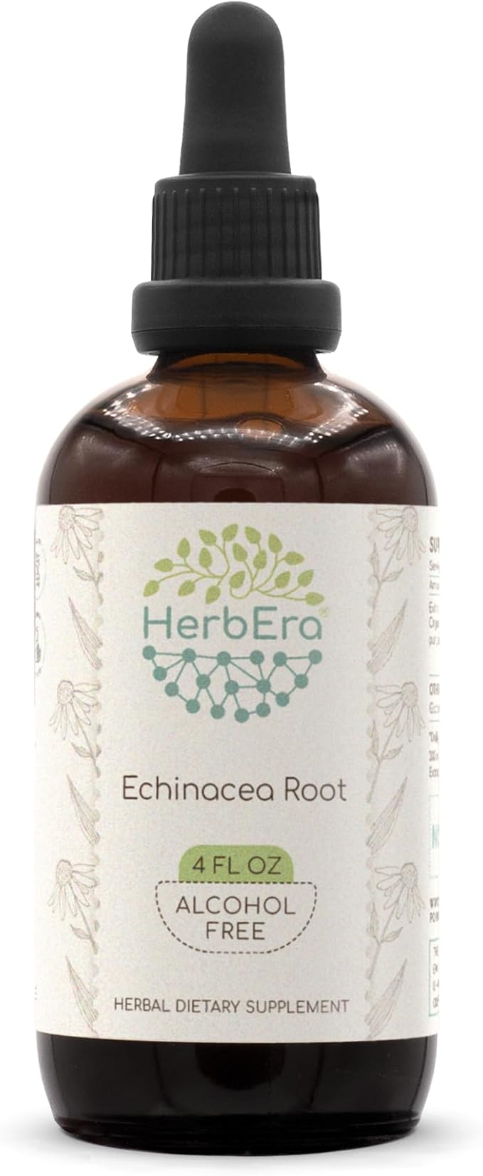 Echinacea Root B120 Alcohol-Free Herbal Extract Tincture, Super-Concentrated Responsibly farmed Echinacea (Echinacea Purpurea) Dried Root 4 fl oz