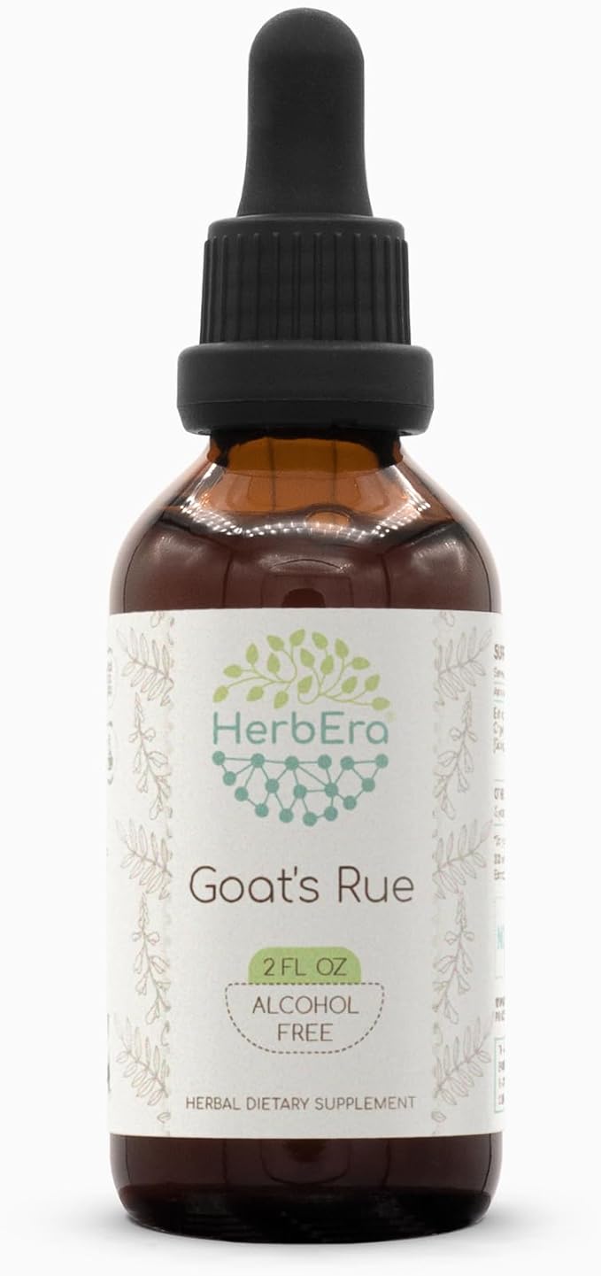 Goats Rue B60 Alcohol-Free Herbal Extract Tincture, Super-Concentrated Goats Rue (Galega officinalis) (2 fl oz)