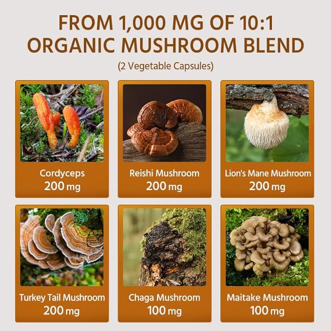Mushrooms Complex 120 Vegetable Capsules. 6 Essential Mushrooms: Organic Reishi, Lion's Mane, Cordyceps, Turkey Tail, Maitake, Chaga. Healthy Immune Support. Non-GMO.