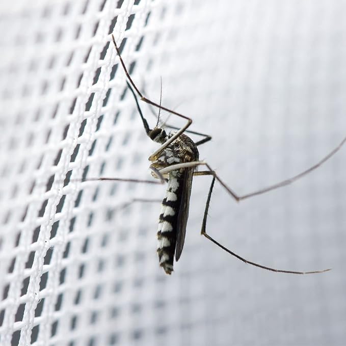 Mosquito Net for Single to King-Sized Beds – 2 Openings or Fully-Enclosed Bed Canopy – Conical Design for Decoration or Travel – Free Bag & Hanging Kit for Easy Setup