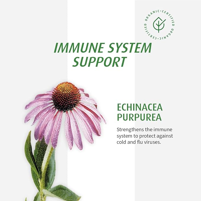 A.Vogel Echinaforce Junior Chewable Tabs | Organic Echinacea Tabs | Cold and Flu Symptoms Relief | Immune System Support | Children 2+ | 90Tabs