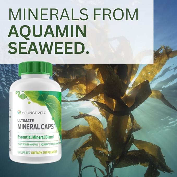 Youngevity Ultimate Mineral Caps™ - 70+ Essential Full Spectrum Trace Minerals - Nutrient-Dense, Derived from Humic & Aquamin Seaweed (64 Capsule) (Pack of 4)