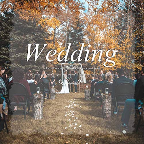 Jeweky Bride Wedding Crystal Hair Pins Clips Bridal Hair Pieces Flowers Hair Accessories Jewelry for Women and Girls (Pack of 3) (Gold)