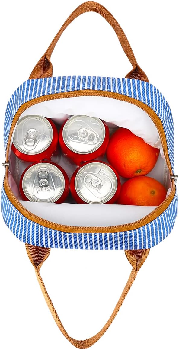 FlowFly Lunch Bag Tote Bag Lunch Organizer Holder Insulated Cooler Bag for Women/Men,Royal