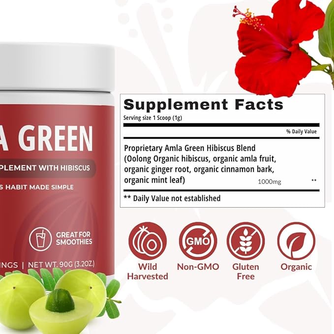 Amla Powder, Green Tea Superfood Supplement with Pumpkin Spice & Hibiscus & Elderberry, Organic, Vegan, 30 Servings