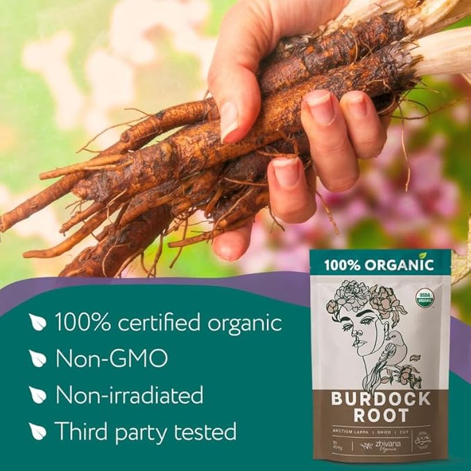 Burdock Root Organic (4oz.) – Burdock Tea - Raiz de Bardana - Removes Toxins, Allergens - Supports Digestive System, Liver Detox, Skin