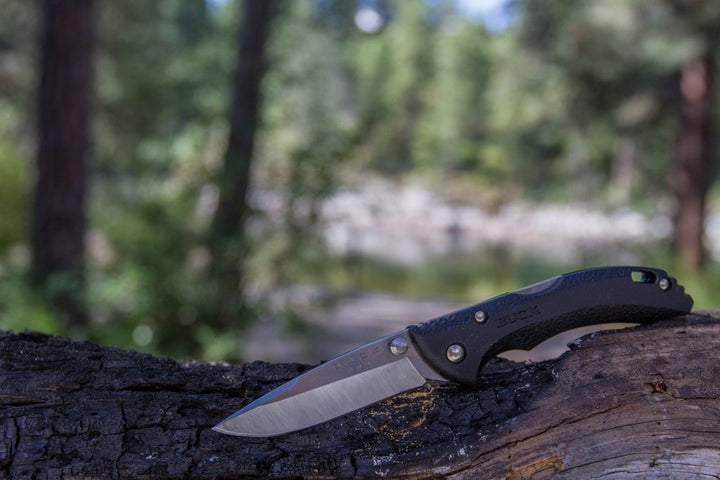 Buck Knives 285 Bantam BLW Folding Knife with Removable Clip