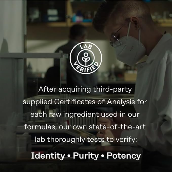 SOLARAY ProSorb Turmeric Supplement Phytosome 500 mg - 29X High Absorption Turmeric Curcumin Supplement for Joint Health Support - Easy-to-Digest Curcumin, Vegan, 60-Day Guarantee, 30 Serv, 30 VegCaps