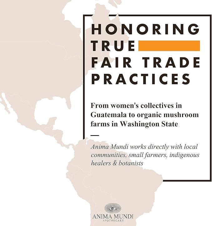 Anima Mundi Apothecary Soma 7 Mushroom Adaptogenic Elixir - Mushroom Liquid Extract Tincture with Reishi, Chaga, Lions Mane & Cordyceps - Vegan Immune Support Tincture (2oz)