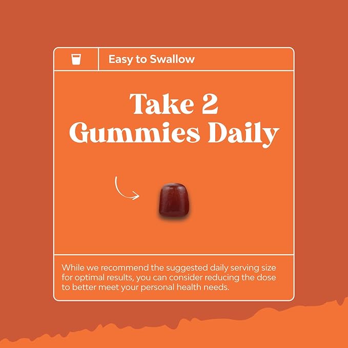 Bundle of Potent Daily Multivitamin Gummies for Adults and Natural Cranberry Gummies for Women and Men - Wellness Blend of Vitamin D A C E B12 Zinc and Biotin - Extra Strength Delicious Antioxidant